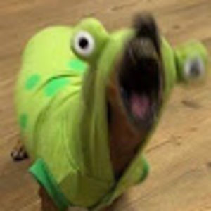 Meet your Posher, Danay